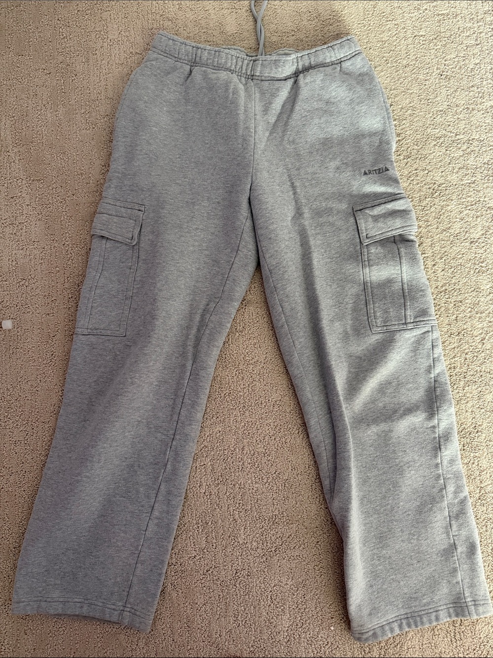 Aritzia sweatfleece cargo sweats